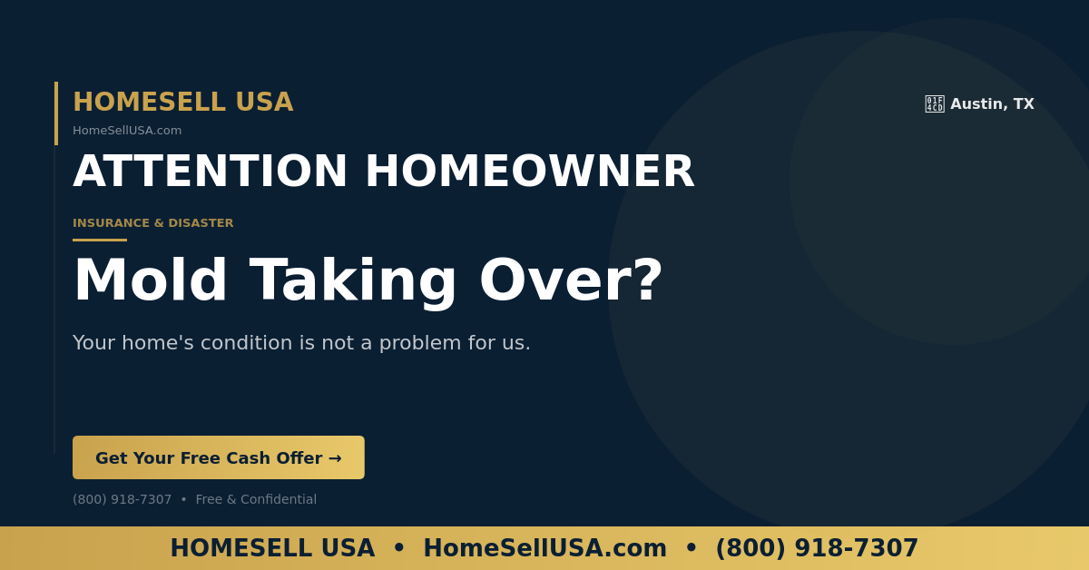 Mold Taking Over? - Austin, TX - HOMESELL USA